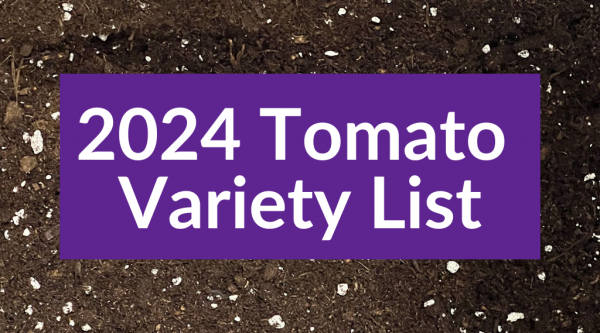 Ricks Garden Center Summer 2024 Tomato Variety List   2024 Tomato Variety List 3 600x333 