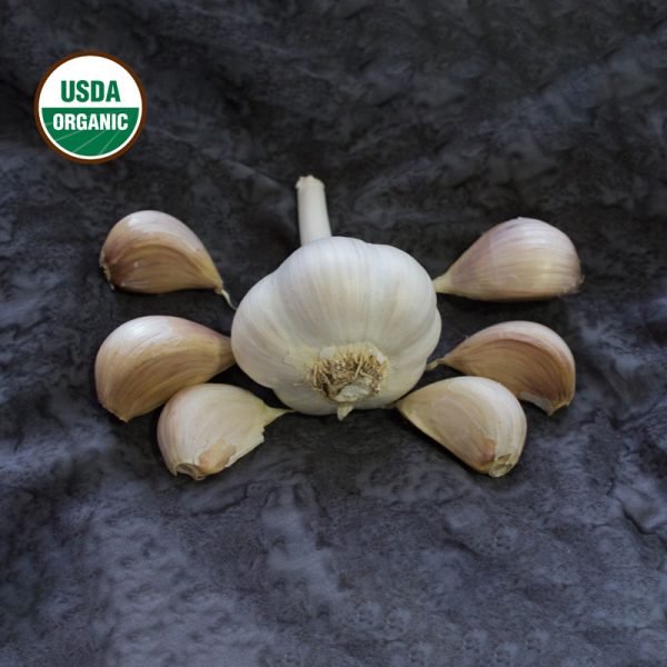 Garlic Armenian Certified Organic
